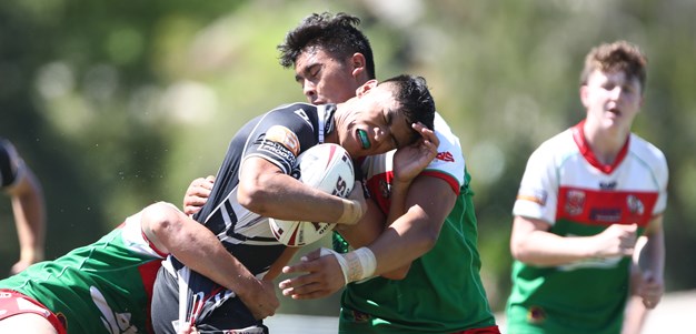 Gulls to face off in Auswide Bank Mal Meninga Cup final