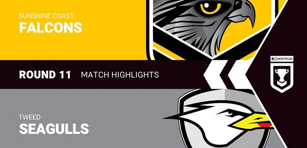 Round 11 clash of the week: Sunshine Coast Falcons v Tweed Seagulls