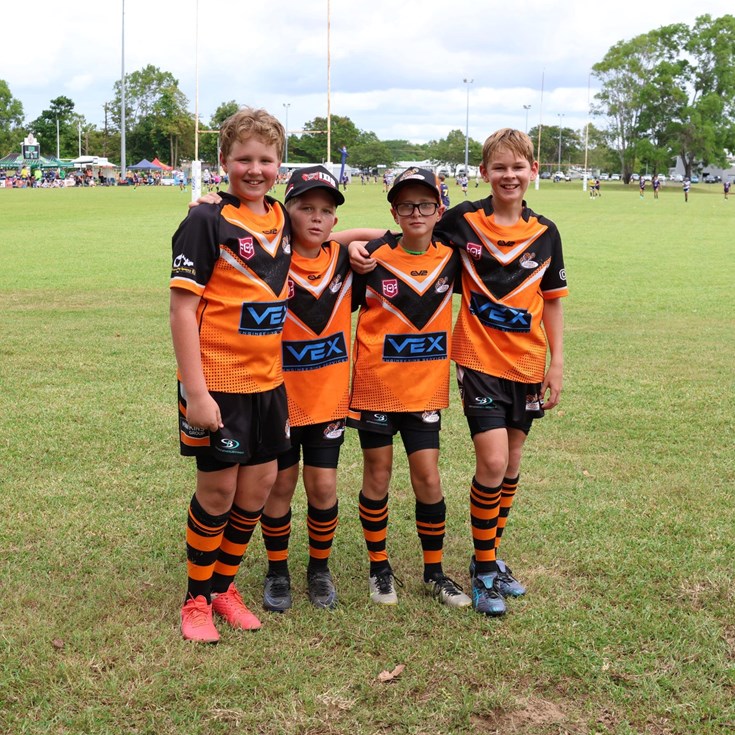 Mini Maroons: Wests Tigers Mackay